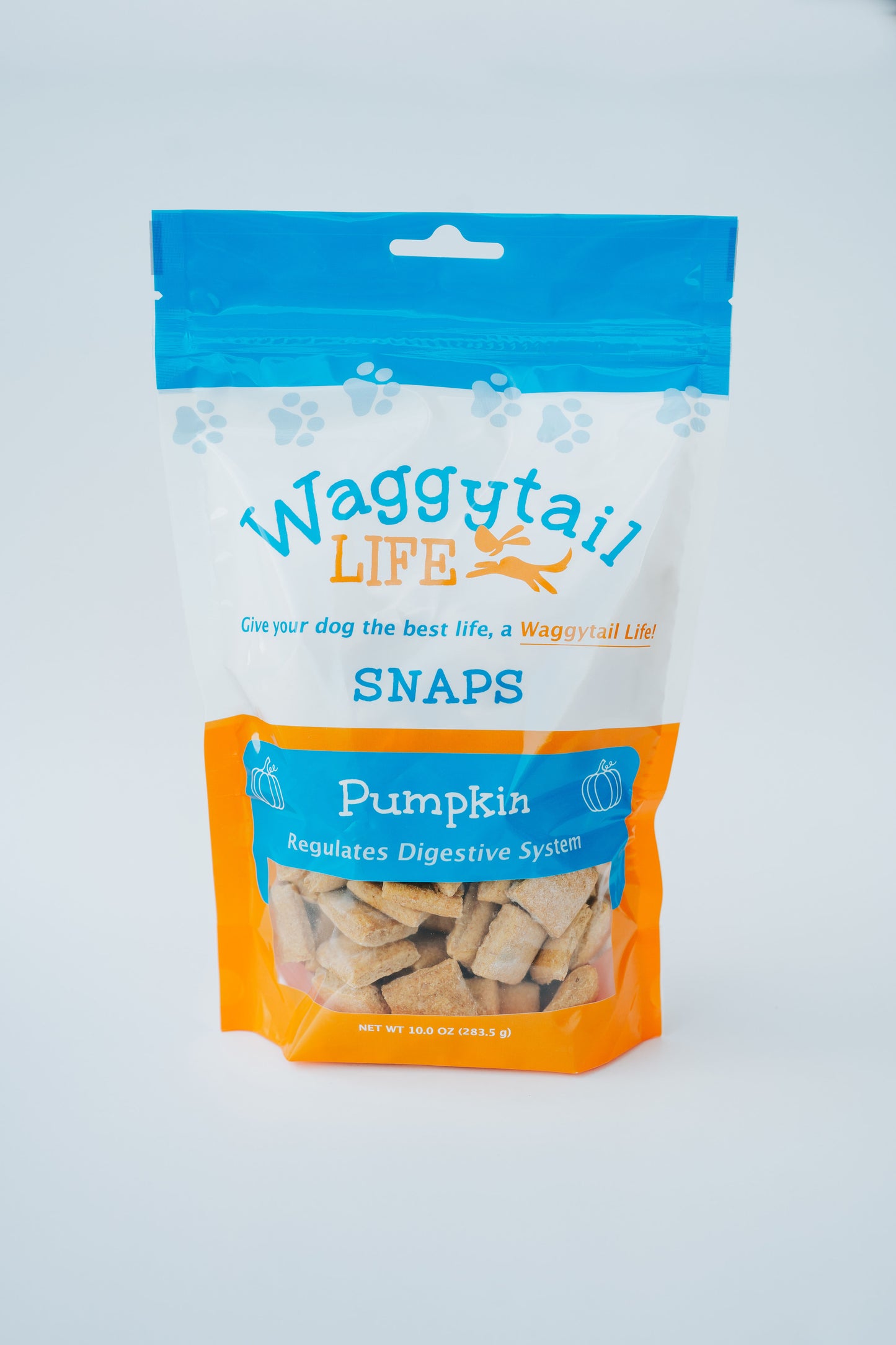 PUMPKIN All-Natural Everyday Dog Treats